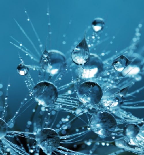 clear-water-drops-132477